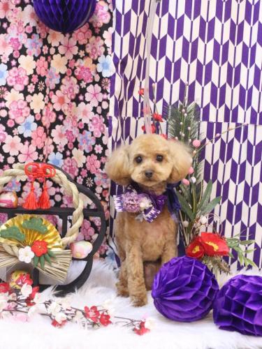 20250121チャッピーくん